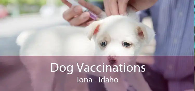 Dog Vaccinations Iona - Idaho