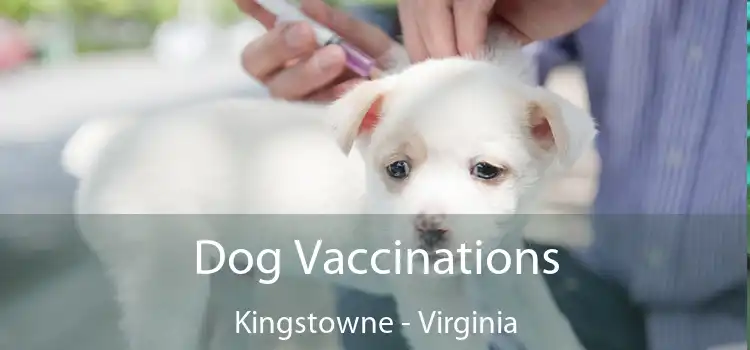 Dog Vaccinations Kingstowne - Virginia