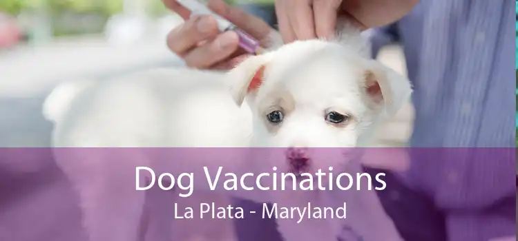 Dog Vaccinations La Plata - Maryland