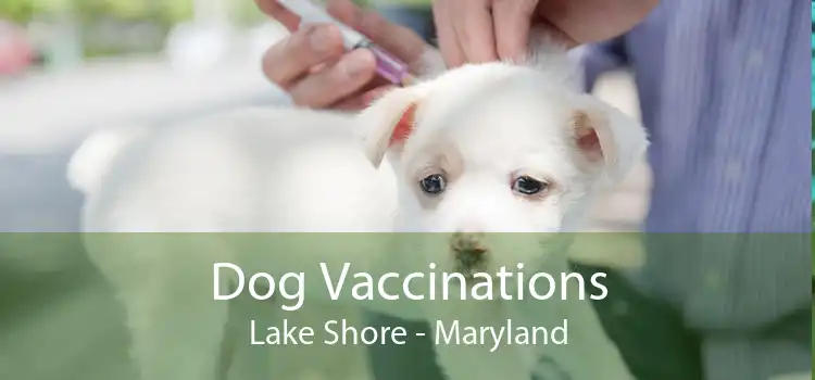 Dog Vaccinations Lake Shore - Maryland