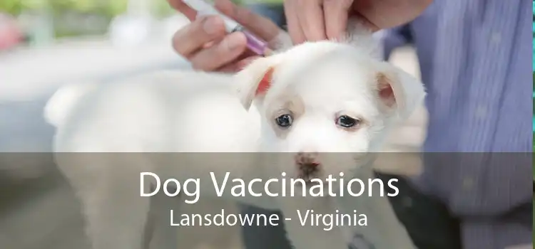 Dog Vaccinations Lansdowne - Virginia