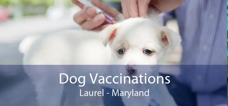 Dog Vaccinations Laurel - Maryland