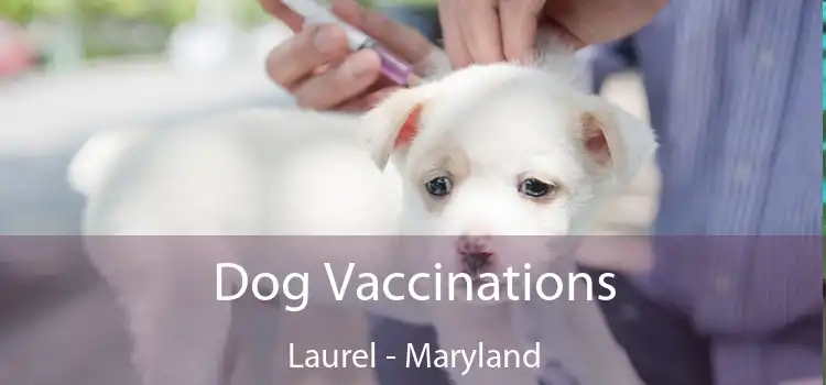 Dog Vaccinations Laurel - Maryland