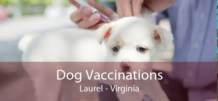 Dog Vaccinations Laurel - Virginia