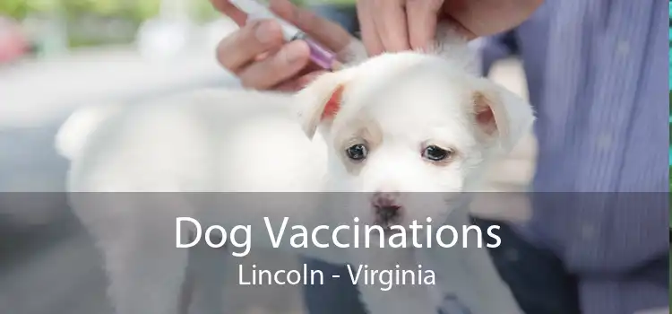 Dog Vaccinations Lincoln - Virginia
