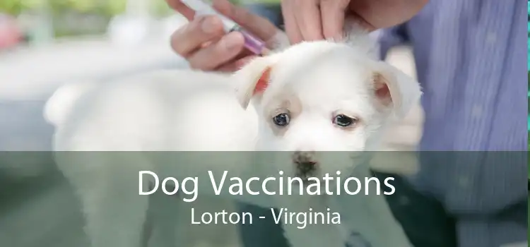 Dog Vaccinations Lorton - Virginia