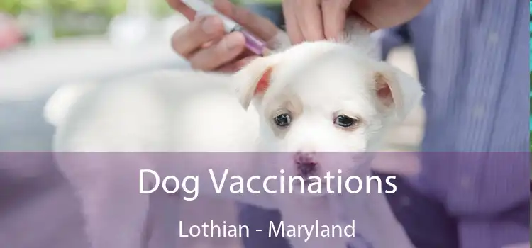 Dog Vaccinations Lothian - Maryland