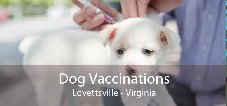 Dog Vaccinations Lovettsville - Virginia