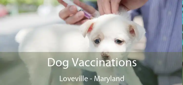Dog Vaccinations Loveville - Maryland