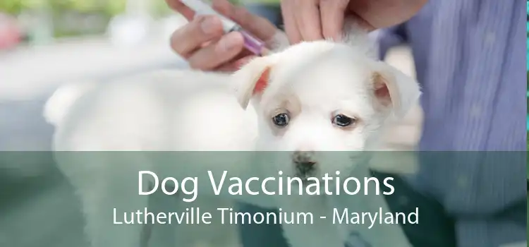 Dog Vaccinations Lutherville Timonium - Maryland