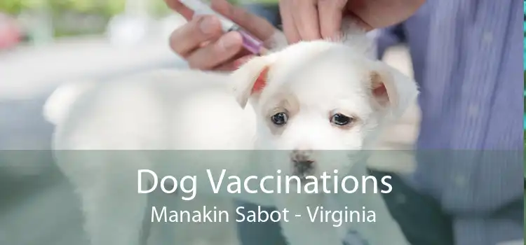 Dog Vaccinations Manakin Sabot - Virginia