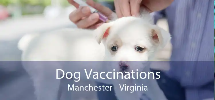 Dog Vaccinations Manchester - Virginia