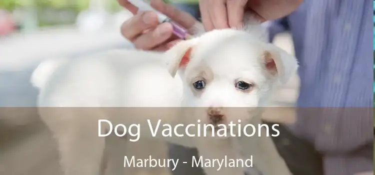 Dog Vaccinations Marbury - Maryland