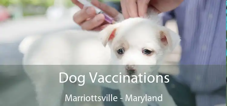 Dog Vaccinations Marriottsville - Maryland
