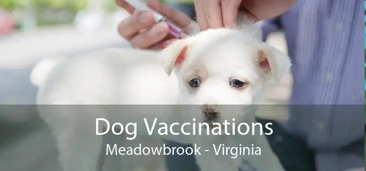Dog Vaccinations Meadowbrook - Virginia