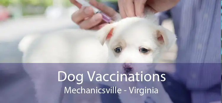 Dog Vaccinations Mechanicsville - Virginia