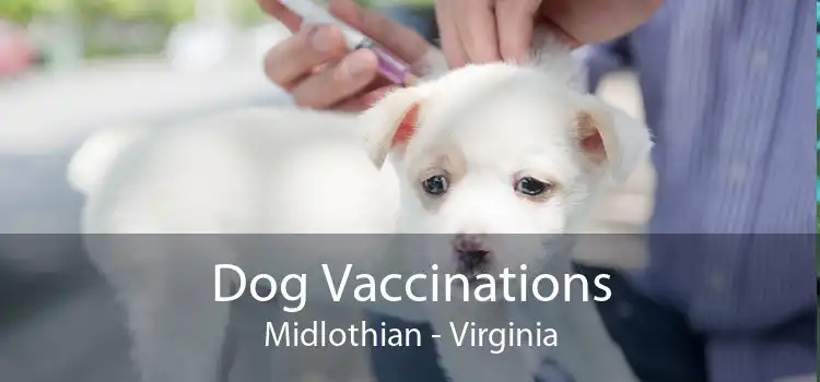 Dog Vaccinations Midlothian - Virginia