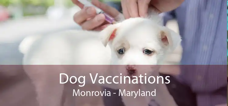 Dog Vaccinations Monrovia - Maryland