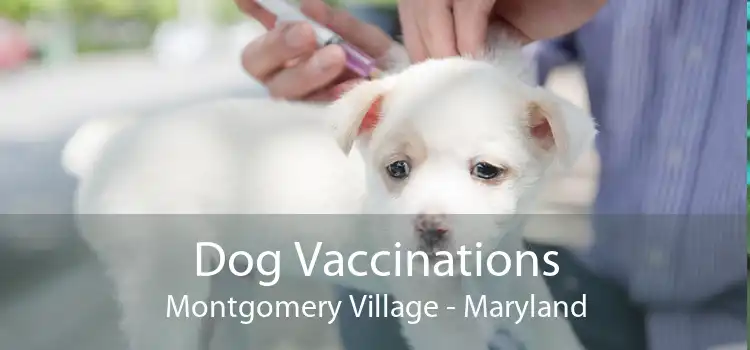 Dog Vaccinations Montgomery Village - Maryland