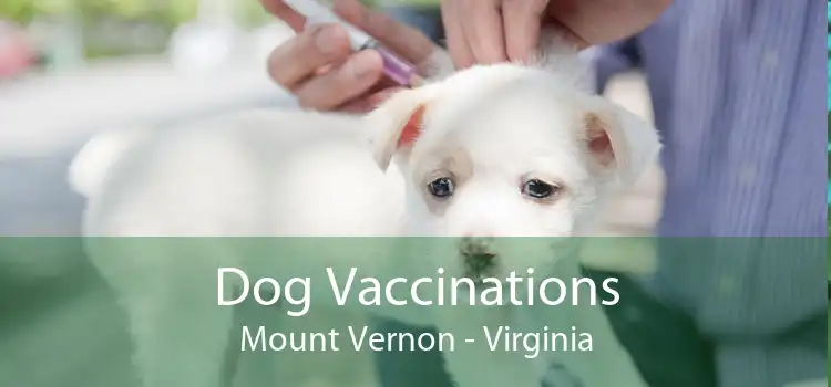 Dog Vaccinations Mount Vernon - Virginia