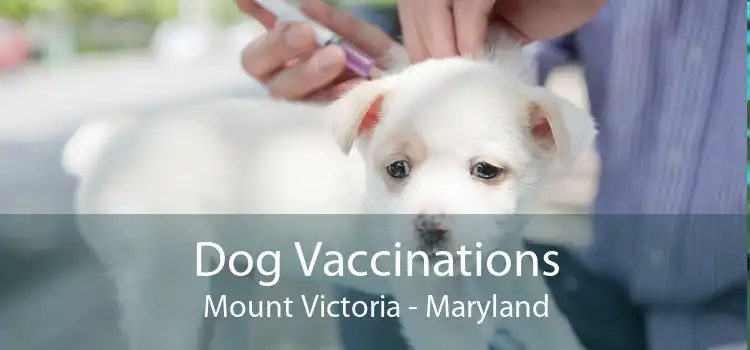 Dog Vaccinations Mount Victoria - Maryland
