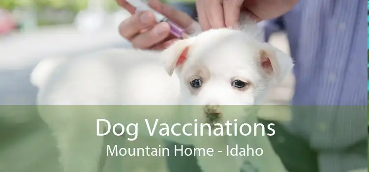 Dog Vaccinations Mountain Home - Idaho