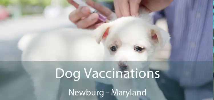 Dog Vaccinations Newburg - Maryland