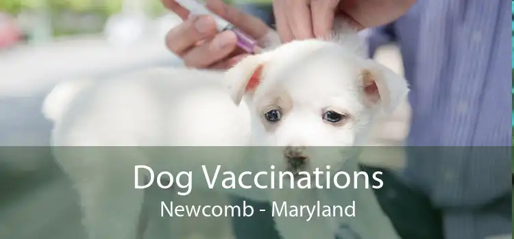 Dog Vaccinations Newcomb - Maryland