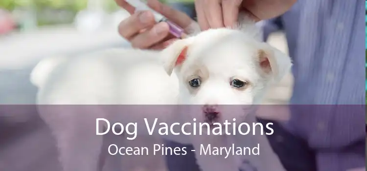 Dog Vaccinations Ocean Pines - Maryland