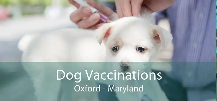 Dog Vaccinations Oxford - Maryland