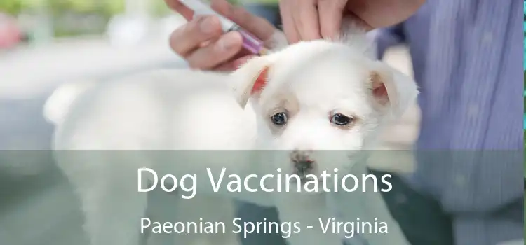 Dog Vaccinations Paeonian Springs - Virginia