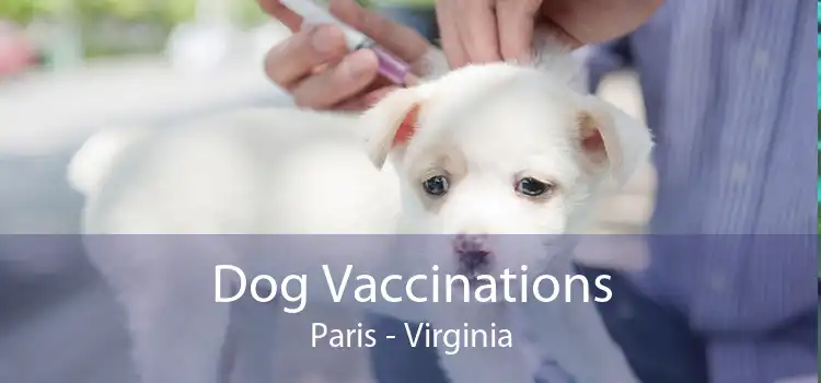 Dog Vaccinations Paris - Virginia