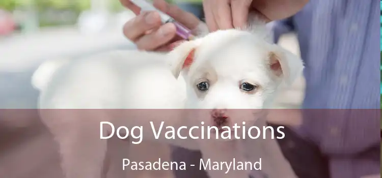 Dog Vaccinations Pasadena - Maryland