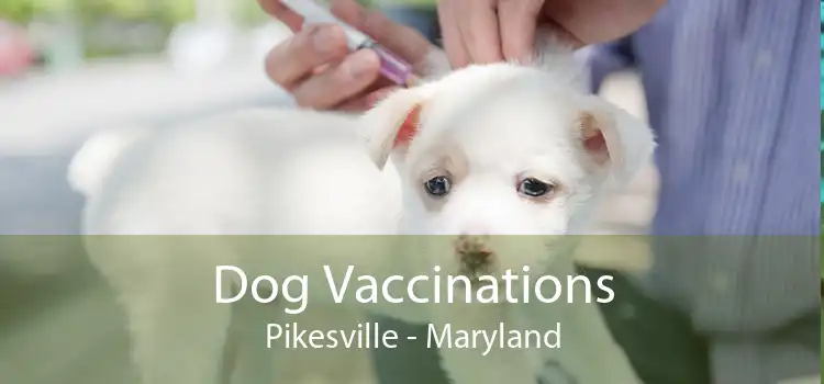 Dog Vaccinations Pikesville - Maryland