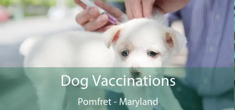 Dog Vaccinations Pomfret - Maryland