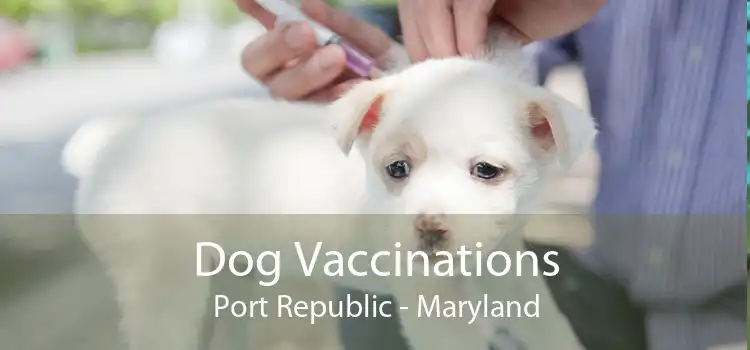 Dog Vaccinations Port Republic - Maryland