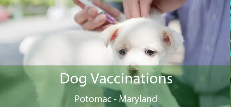 Dog Vaccinations Potomac - Maryland