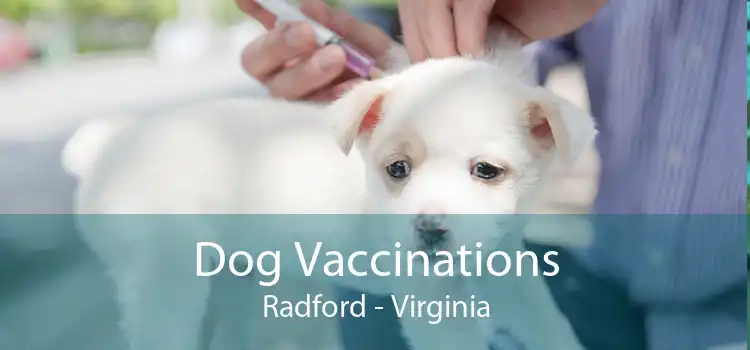 Dog Vaccinations Radford - Virginia