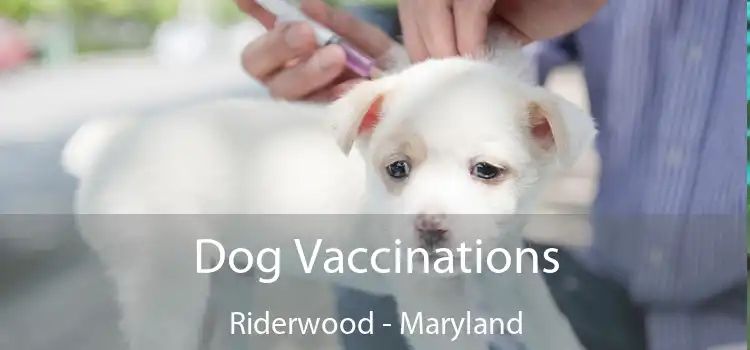 Dog Vaccinations Riderwood - Maryland