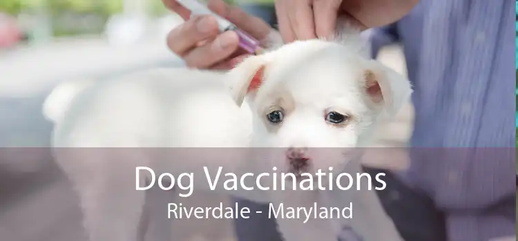 Dog Vaccinations Riverdale - Maryland