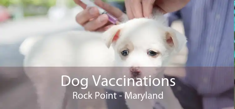 Dog Vaccinations Rock Point - Maryland