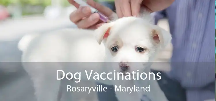 Dog Vaccinations Rosaryville - Maryland