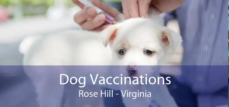 Dog Vaccinations Rose Hill - Virginia