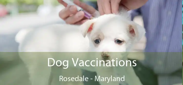 Dog Vaccinations Rosedale - Maryland
