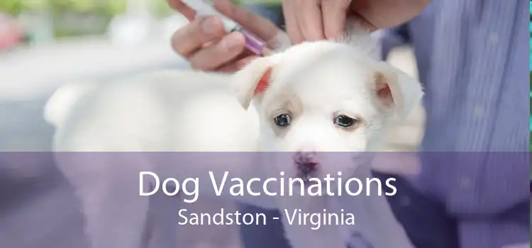 Dog Vaccinations Sandston - Virginia