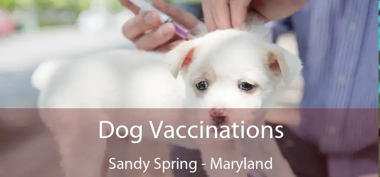 Dog Vaccinations Sandy Spring - Maryland