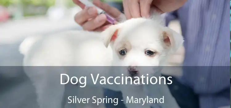 Dog Vaccinations Silver Spring - Maryland
