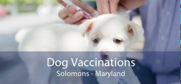 Dog Vaccinations Solomons - Maryland