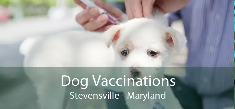 Dog Vaccinations Stevensville - Maryland