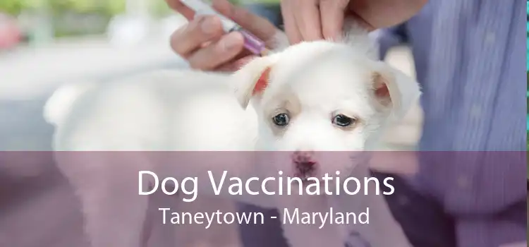 Dog Vaccinations Taneytown - Maryland